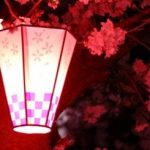 夜の花見は寒いので服装に注意