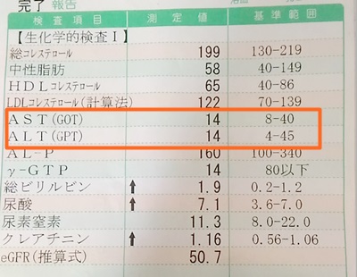 GOTとGPTが肝臓の状態を示す