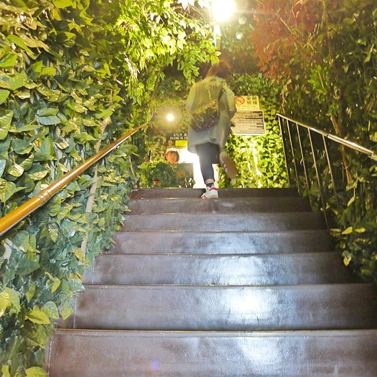 厳島ふくろうの森への階段