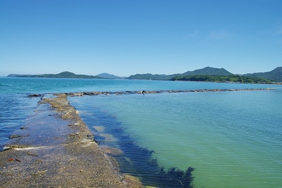 菊ヶ浜の堤防からテトラポット