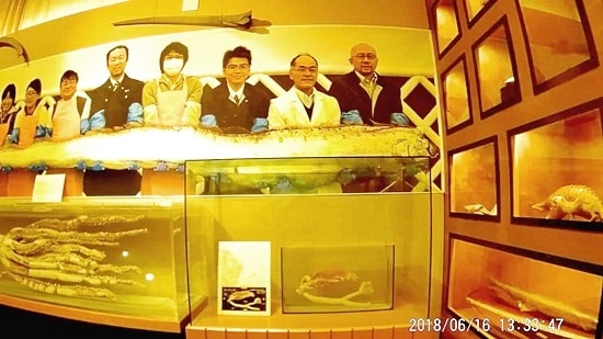 萩博物館の深海魚展示