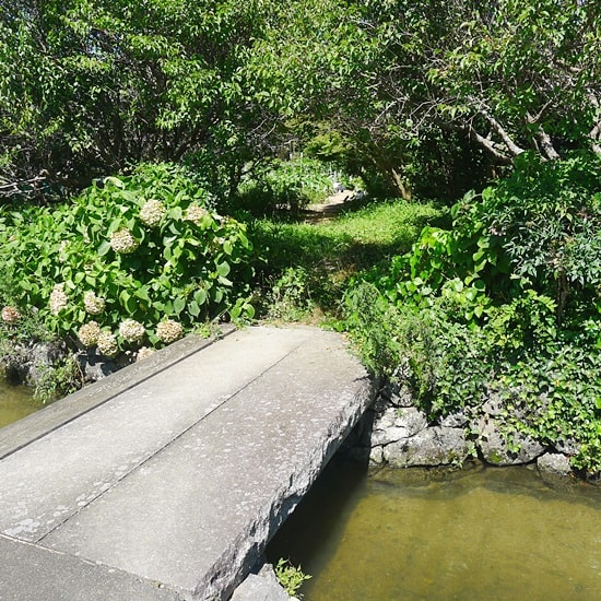 藍場川の向こうの畑